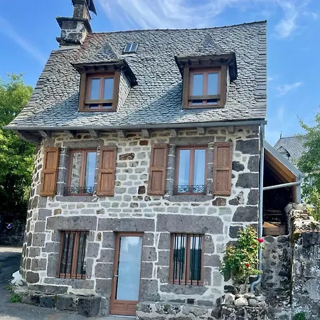 Maison De Caractere Renovee Avec Terrain De Petanque Semesterbostad Saint-Cirgues-de-Jordanne